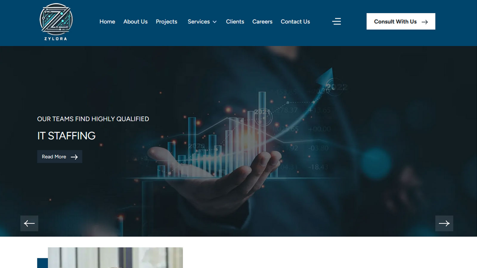 portfolio